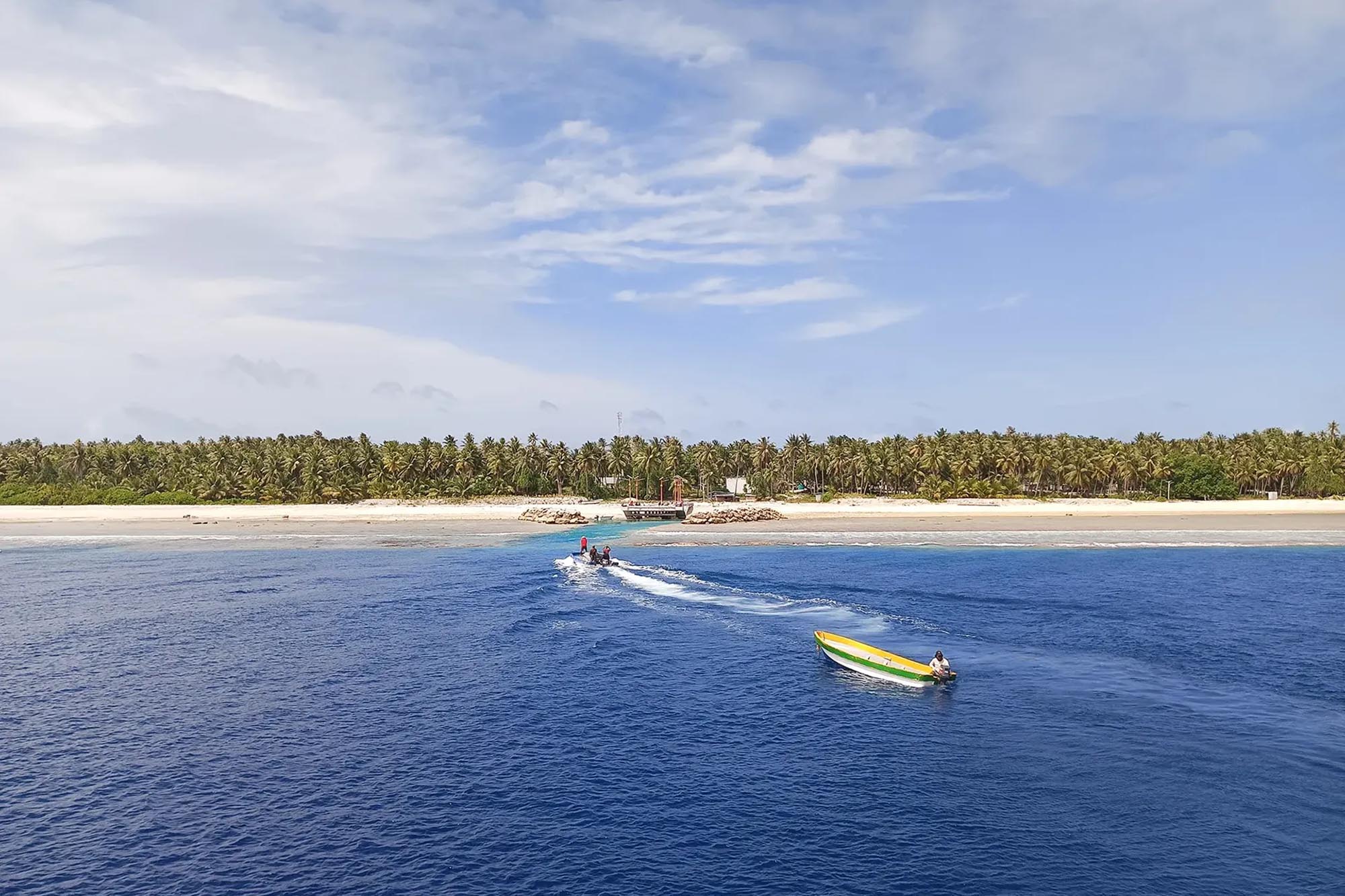 A tropical island with a sandy beach, dense palm trees and two boats.