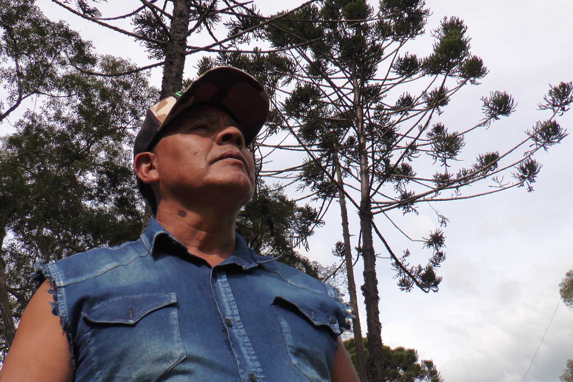 A man in a forest where yerba mate is grown, staring into the distance.
