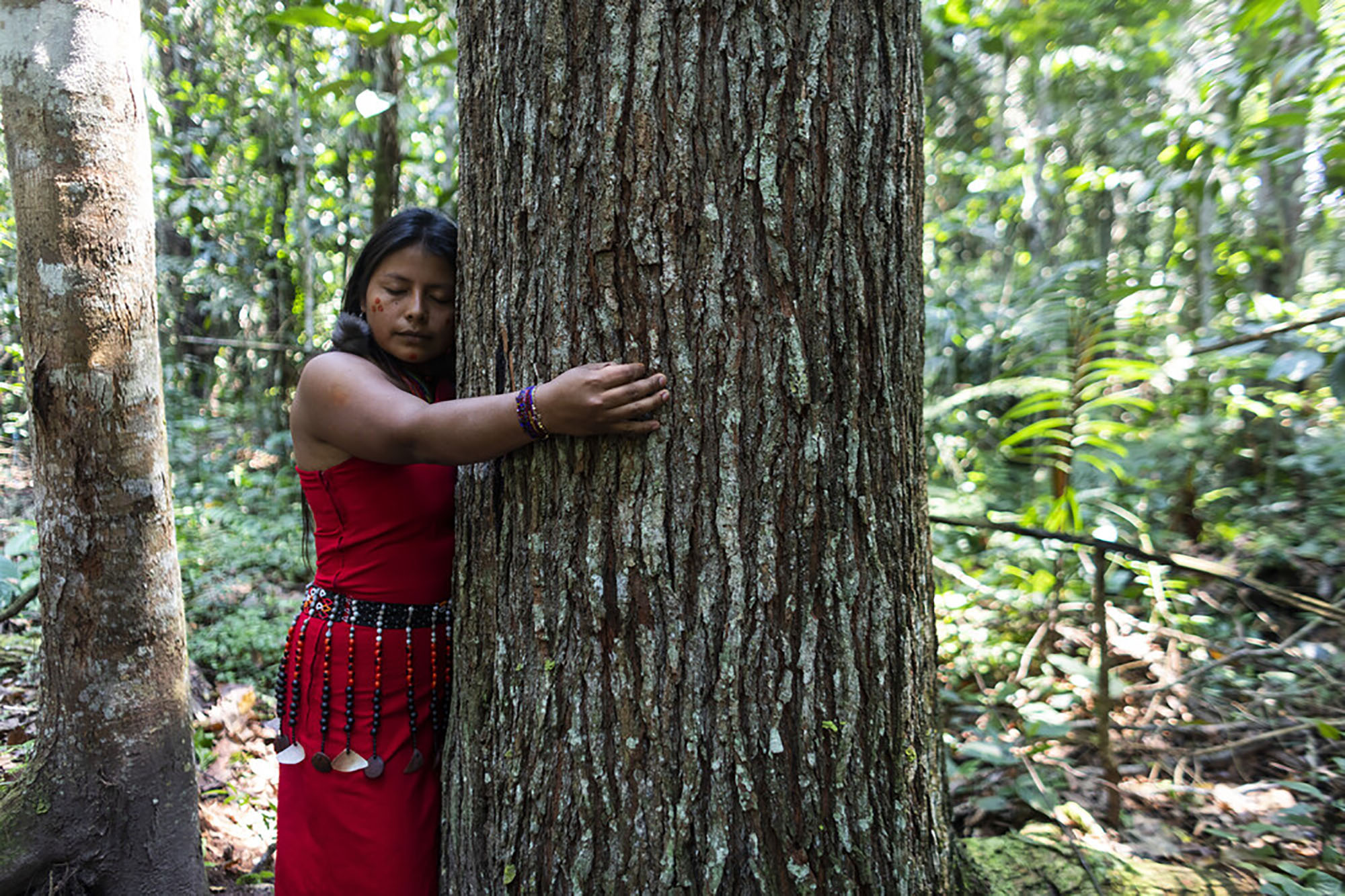 A woman in a red dress hugging a large tree trunk in a forest.