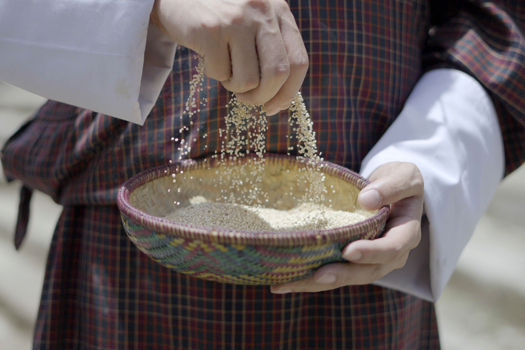 Close-up of hands gently pouring raw quinoa grains into a bowl, the tiny seeds cascading like a delicate stream.