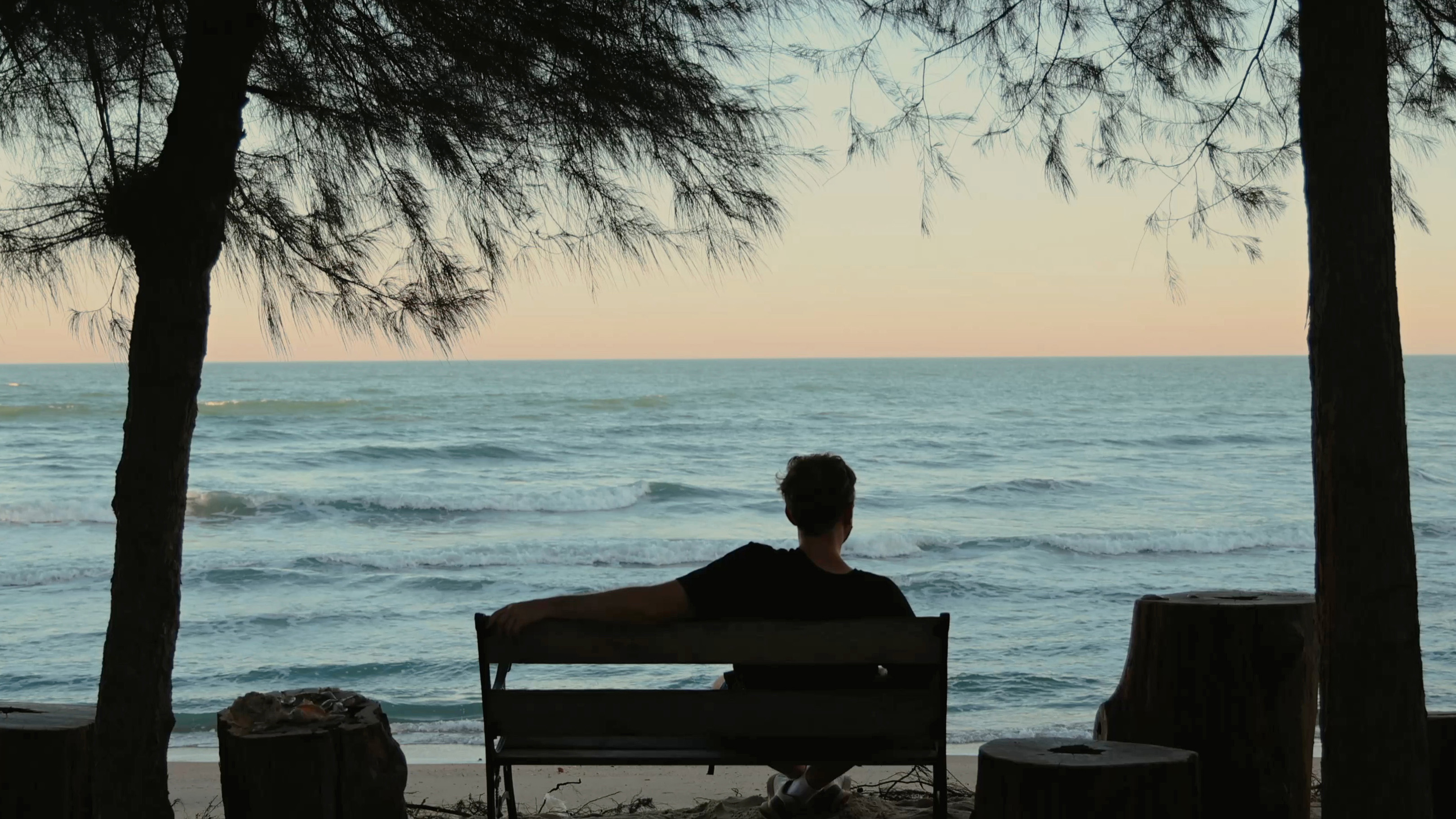 Man sitting on beach bench under trees facing ocean horizon during sunset