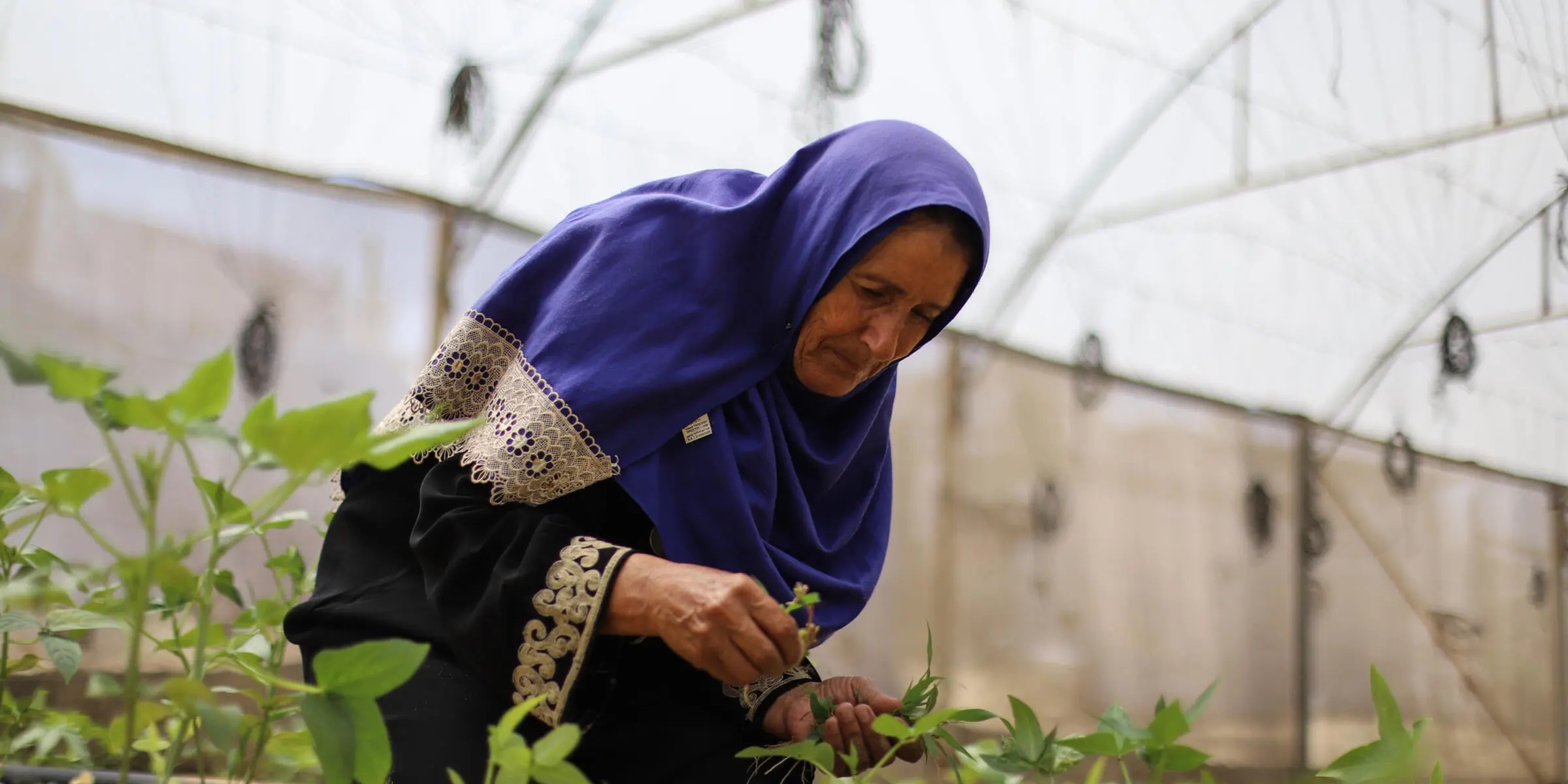 Farmers in Gaza