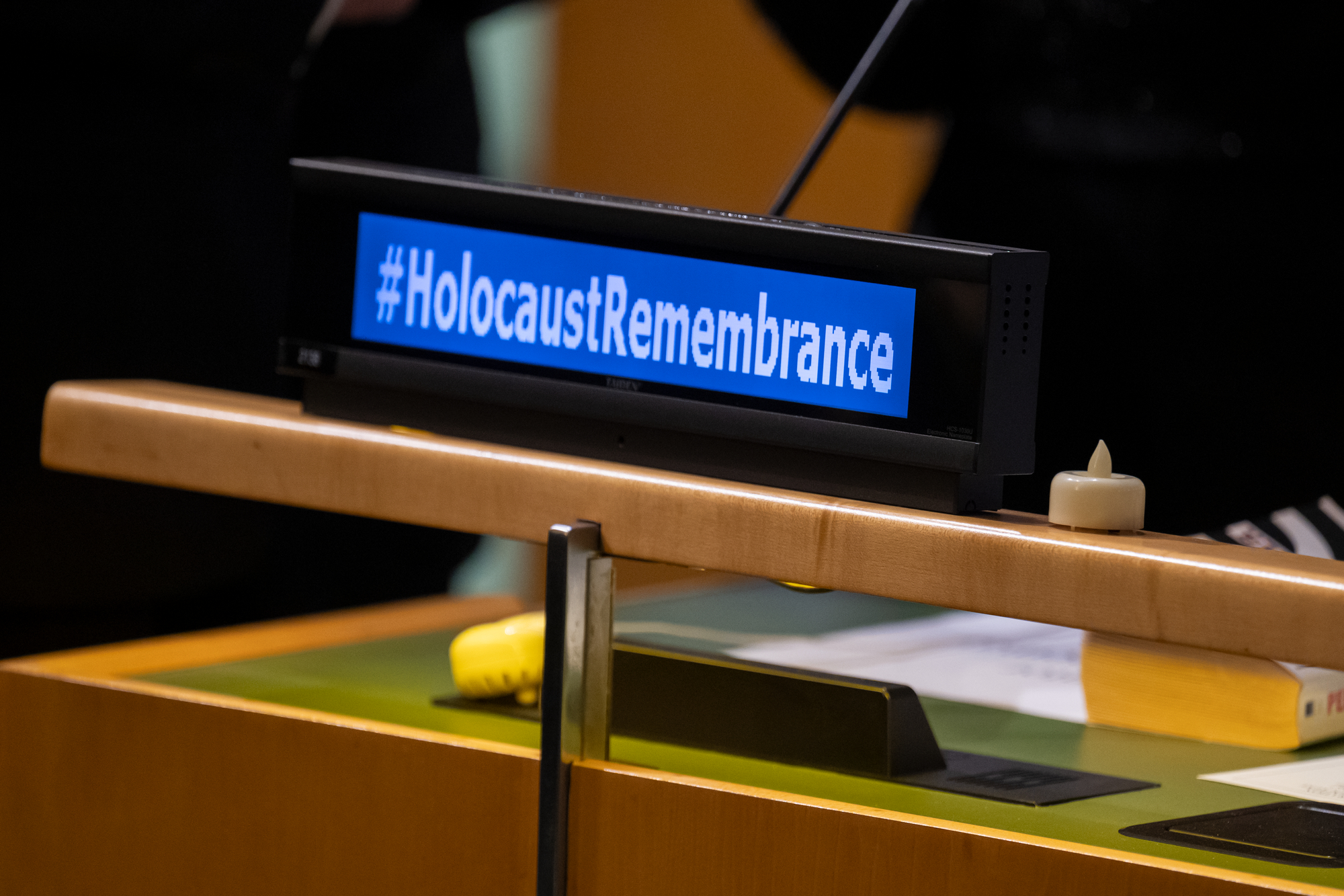 International Day of Commemoration in memory of the victims of the Holocaust