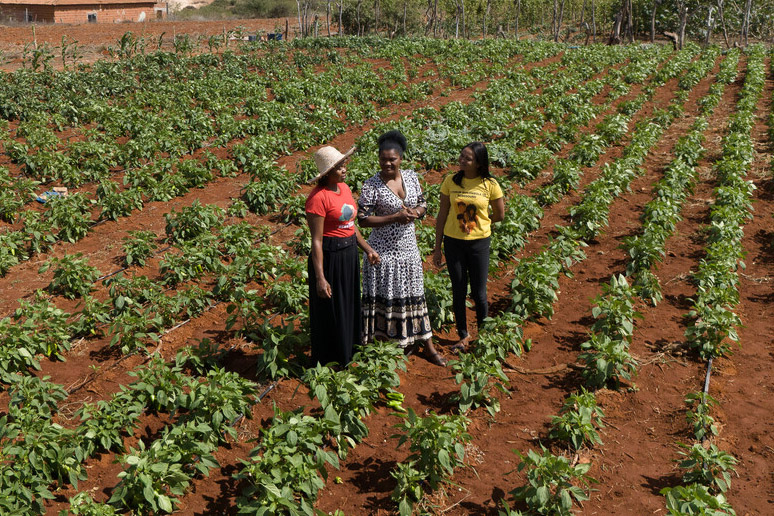 Three ladies standing on a farm.