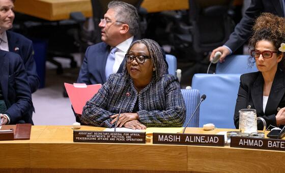 Martha Ama Akyaa Pobee, Assistant Secretary-General for Political  Affairs briefs the Security Council meeting on the situation in Iran.