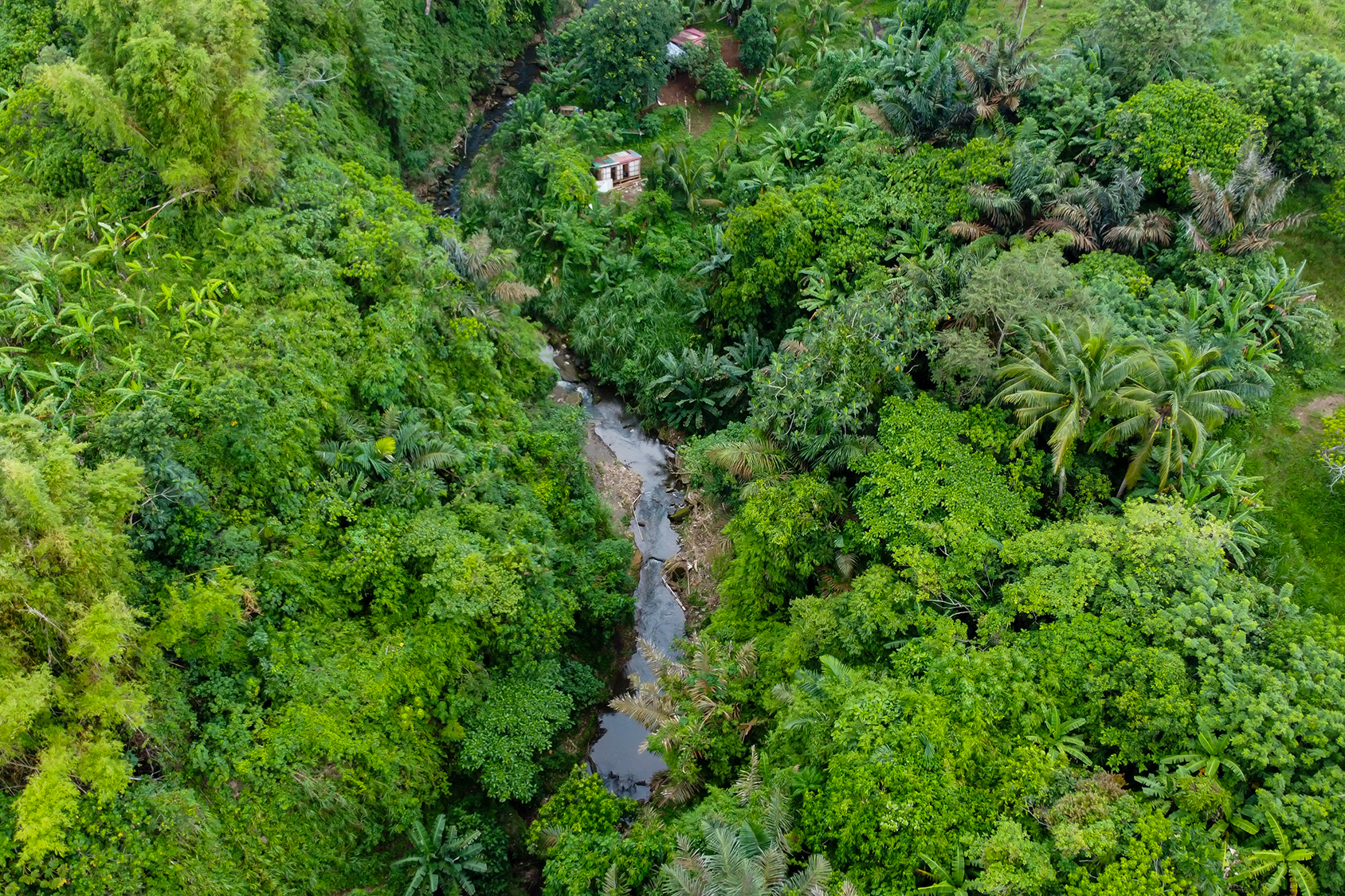 river winding through forest