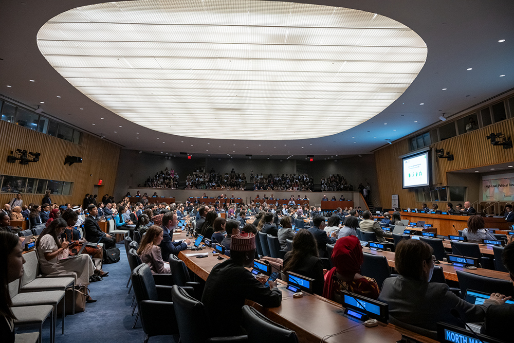 A wide view of the 2nd meeting of the high-level political forum on sustainable development