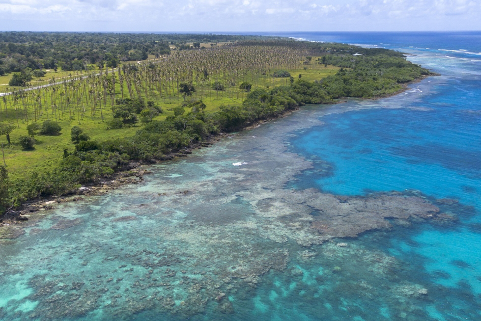 A picture of land and shoreline.