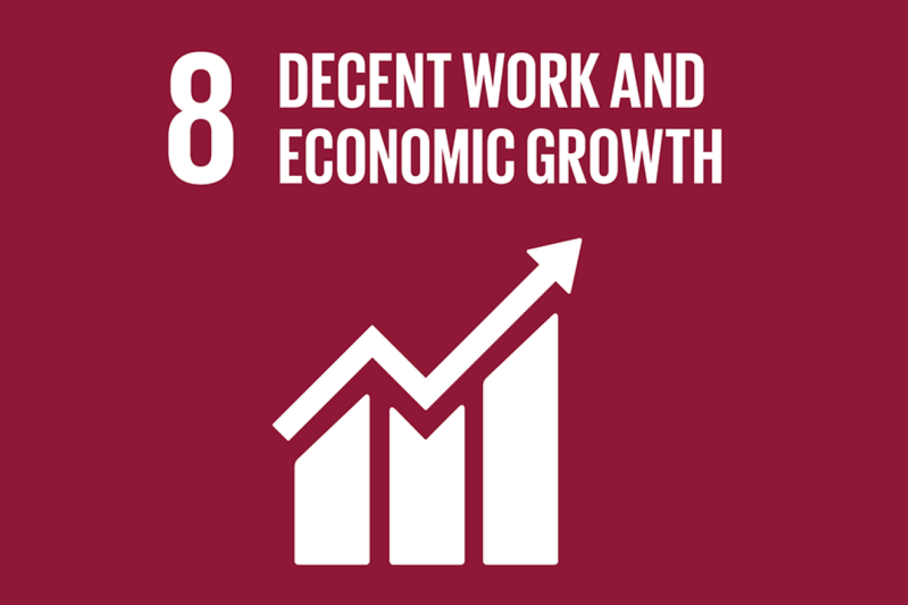 SDG 8: Decent work and economic growth SDG 8: Decent work and economic growth